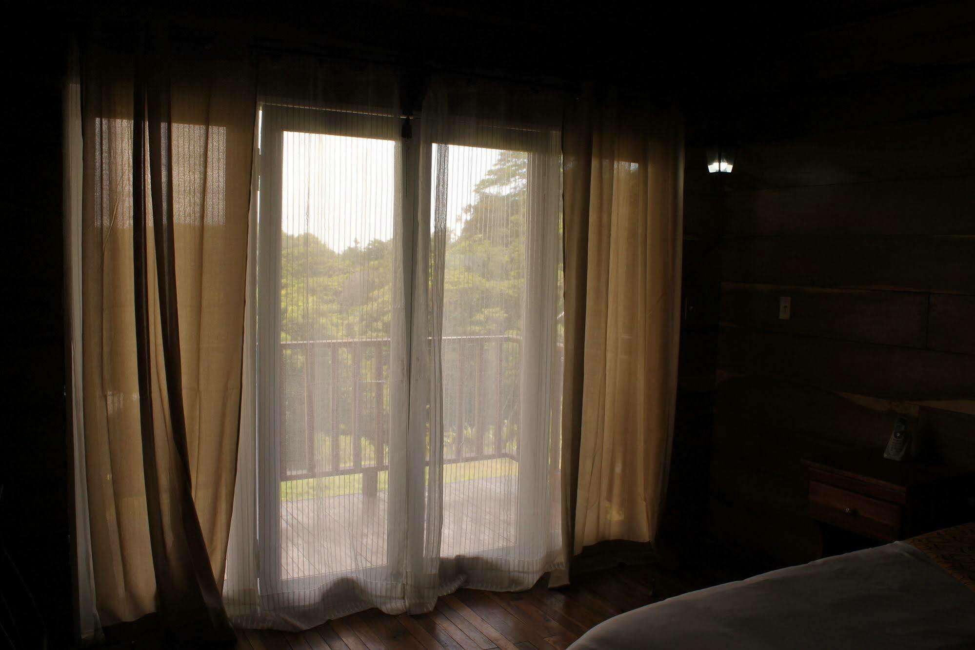 Hotel Bosque Verde Lodge Monteverde Exterior photo